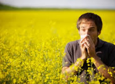 How To Fight Hay Fever