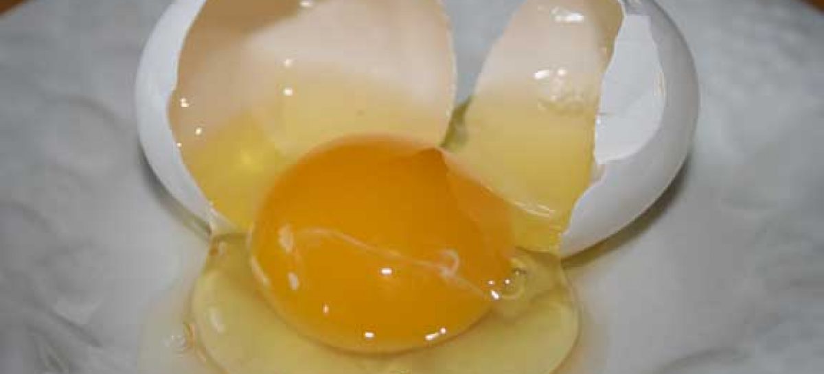 Why should we do consumption of raw egg?