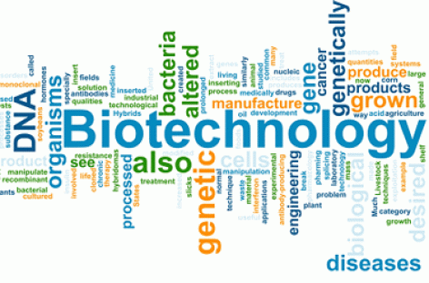 What is biotechnology?