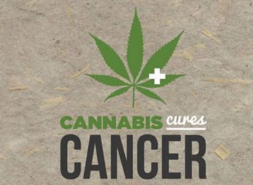 3 Ways Cannabis Affects Cancer Cells