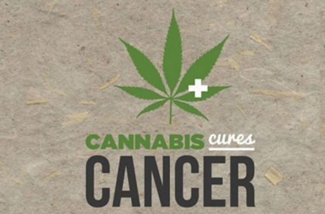 3 Ways Cannabis Affects Cancer Cells