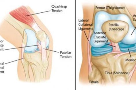 3 Common Knee Injuries