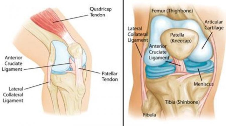 Knee Injuries