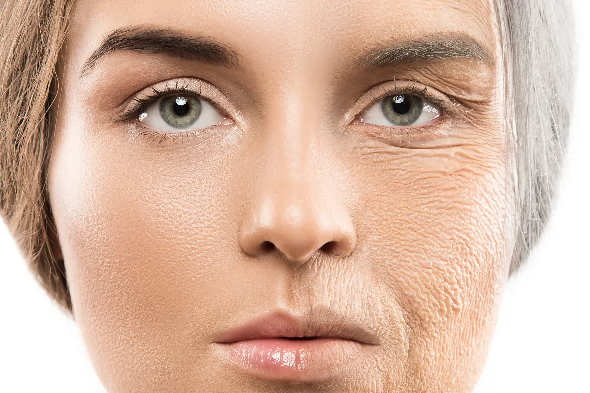Aging Process