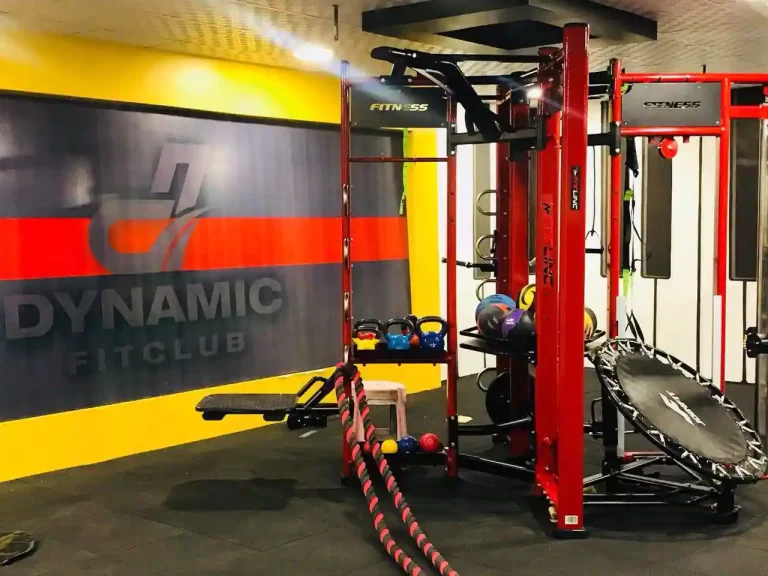 Dynamic Fitness Review