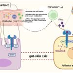 featured-image-1765413286414-cf796db3